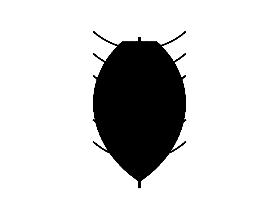 Leaf stencil after conversion