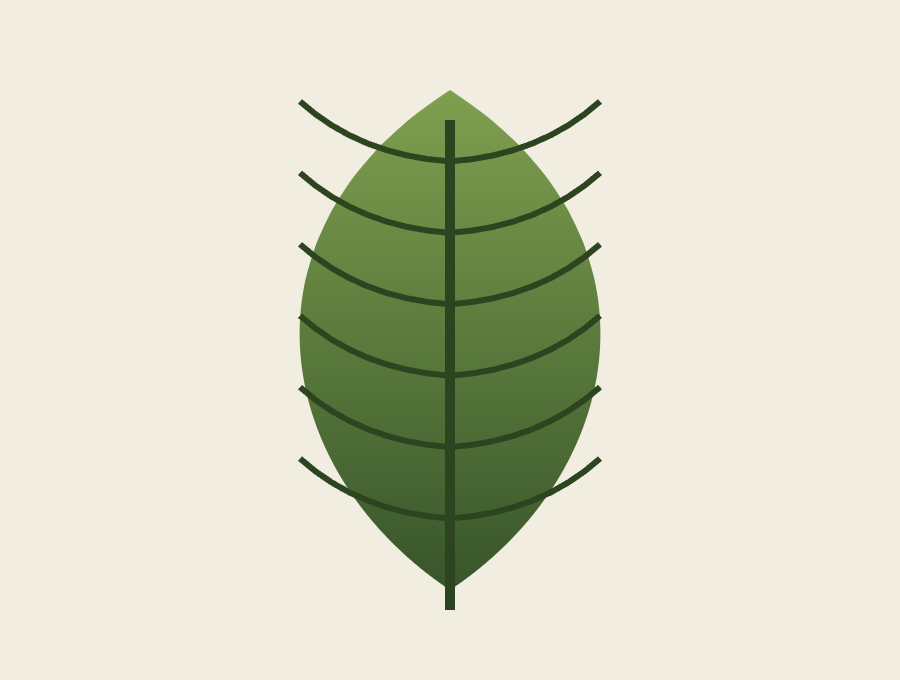 Leaf illustration before conversion