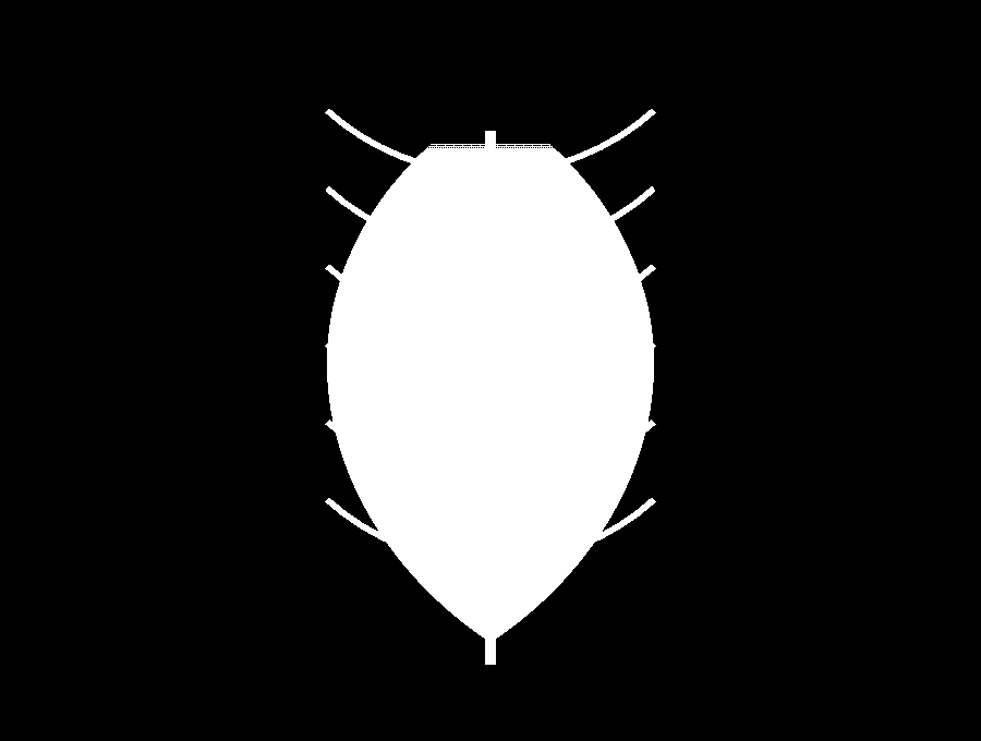 Leaf inverted stencil