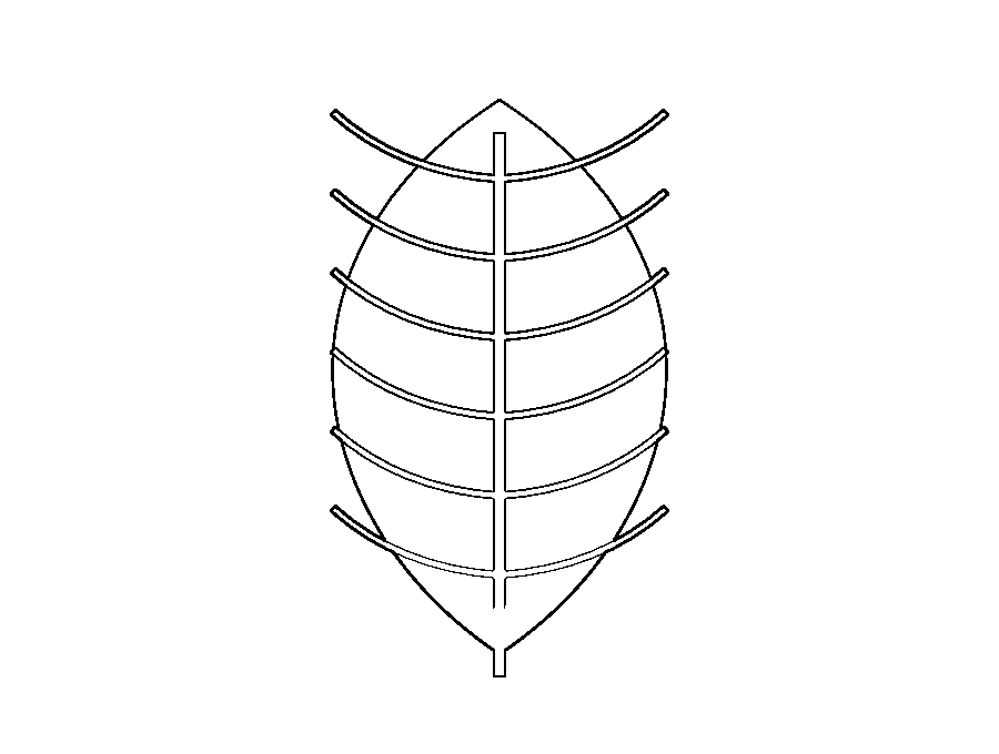 Leaf outline stencil